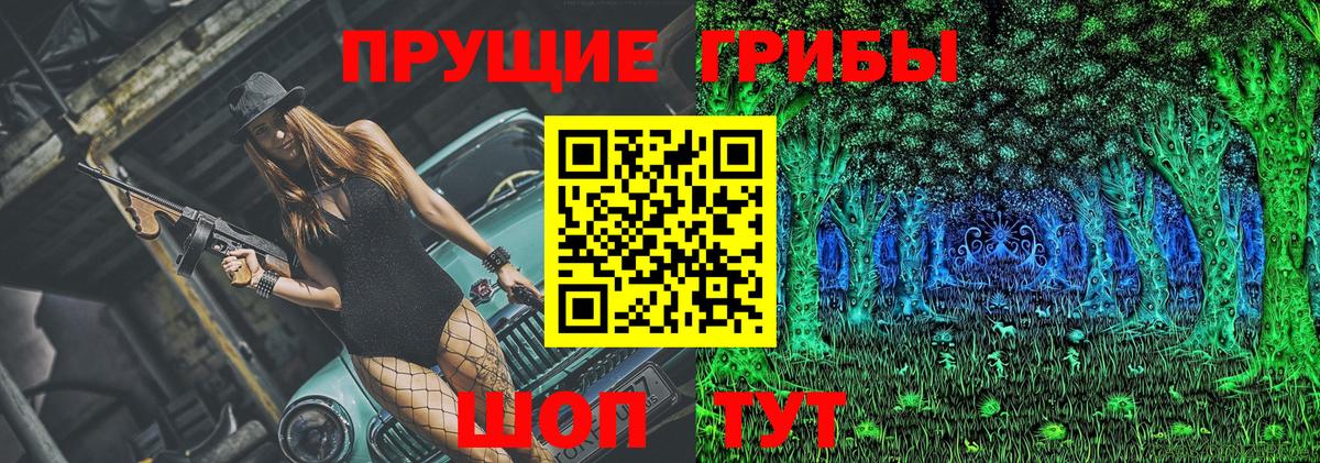 Галлюциногенные грибы ЛСД  Вход с VPN  Тихорецк 